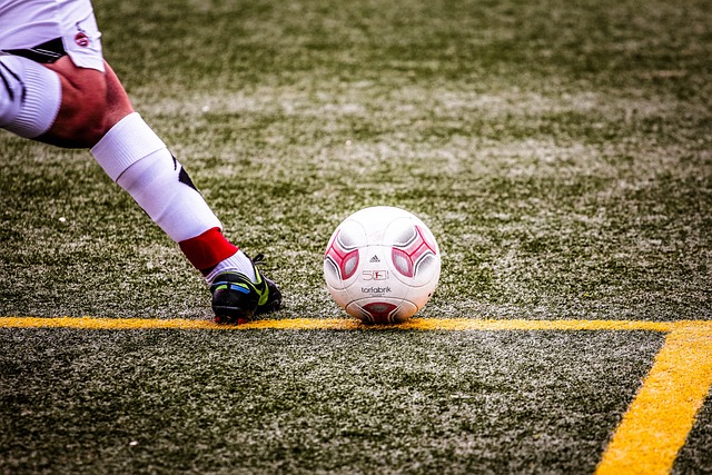 球的未来提 球的未来提