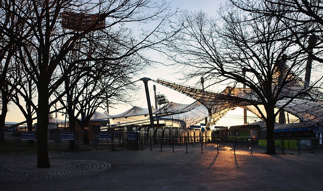 场均得分 场均得分