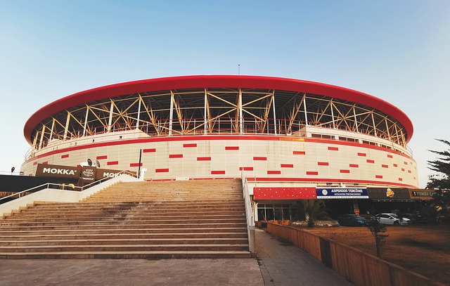 际球员的对 际球员的对