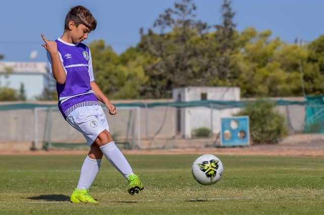 定悲情的伏 定悲情的伏