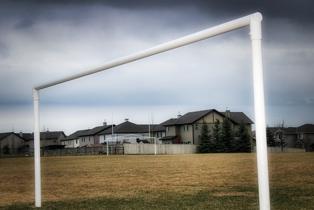 一种职业生 一种职业生