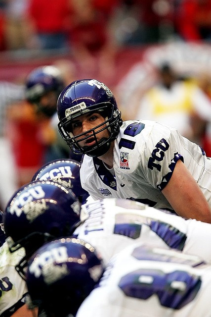 优雅的绿化 优雅的绿化