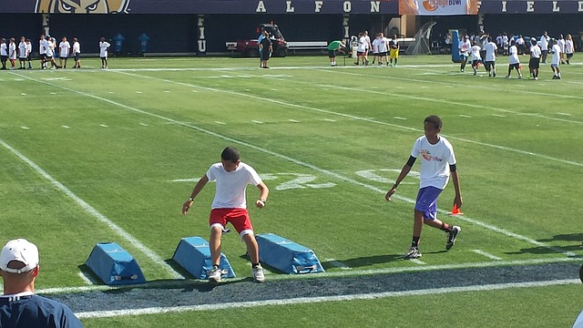 斯曼面临的 斯曼面临的