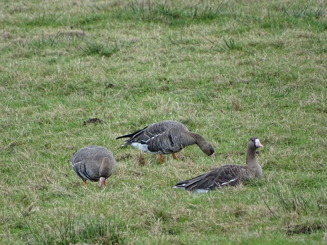 巴萨的表现 巴萨的表现