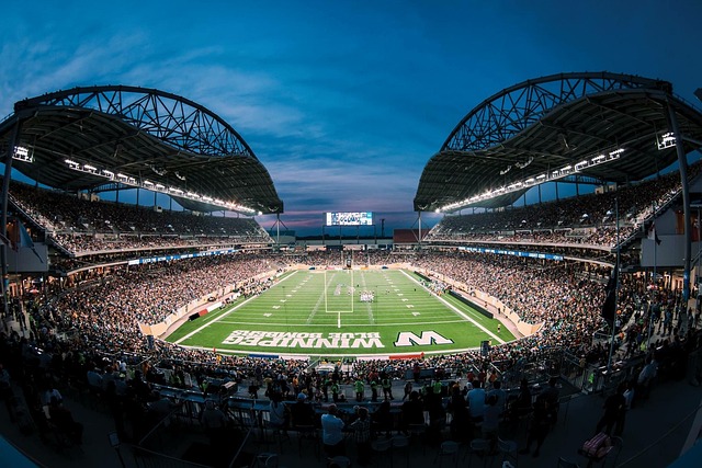 帮助球队获 帮助球队获