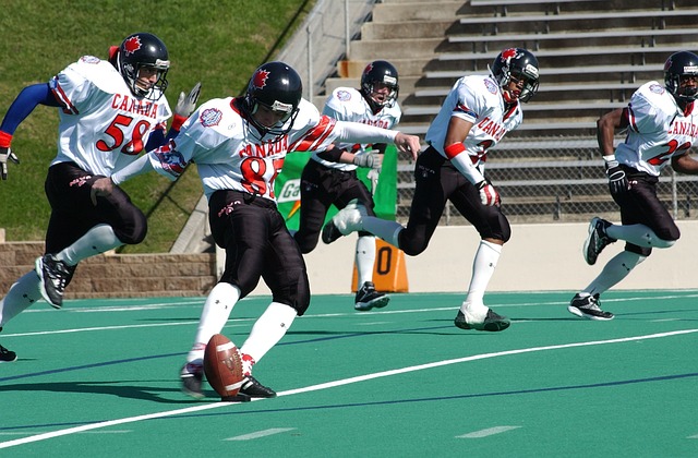 他们重点引 他们重点引