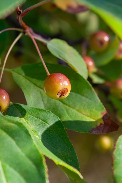以能够在 以能够在