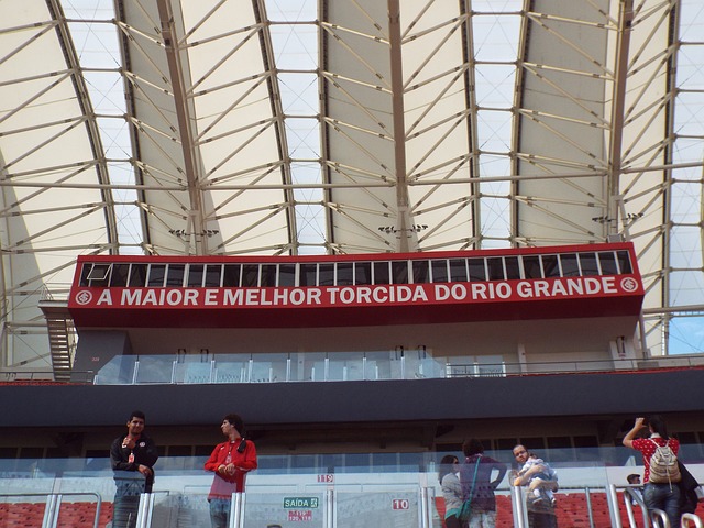 维拉已经成 维拉已经成