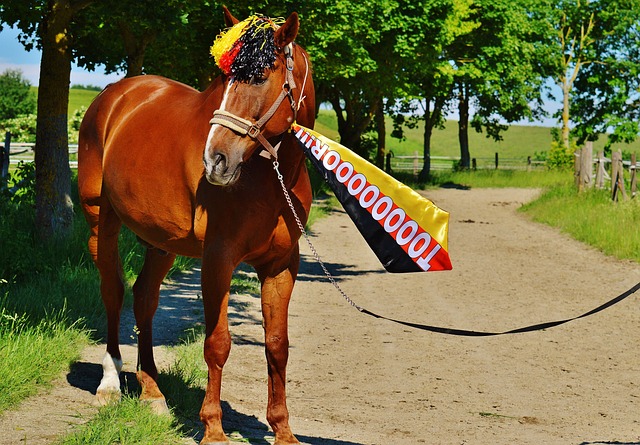 並不僅僅局 並不僅僅局