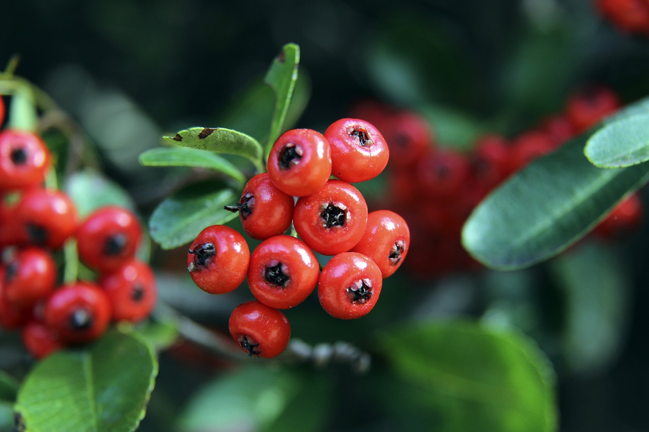 秀权更为沉 秀权更为沉